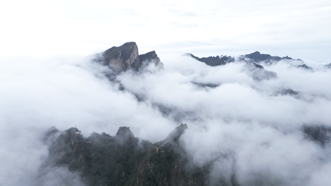 DJI_0382.JPG