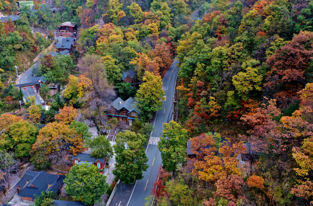 DJI_0884_副本.jpg