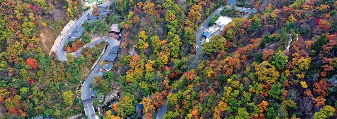 DJI_0879_副本(1)缩小后.jpg