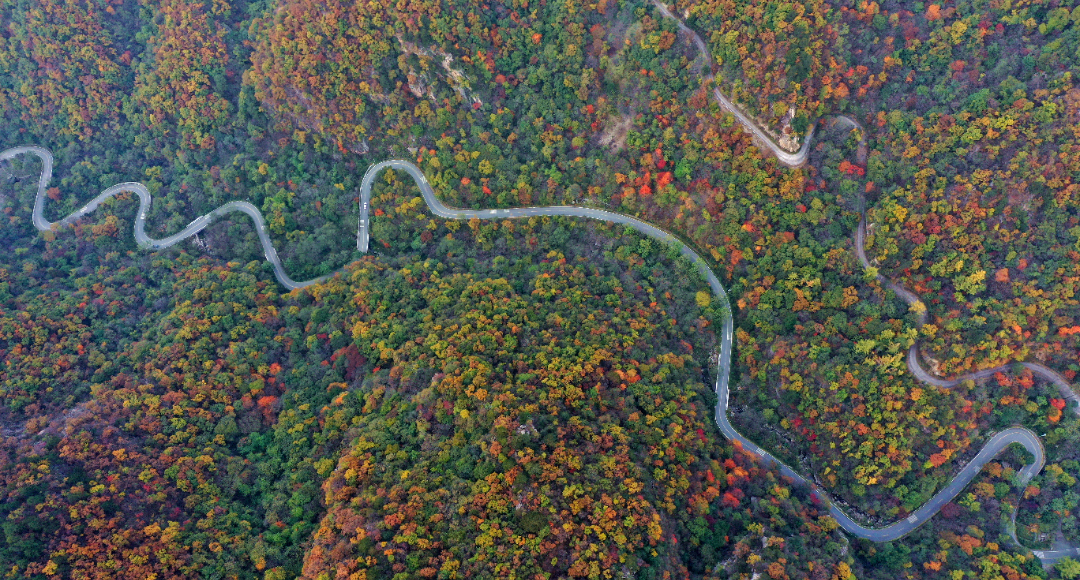 DJI_0871_副本_副本缩小后.jpg