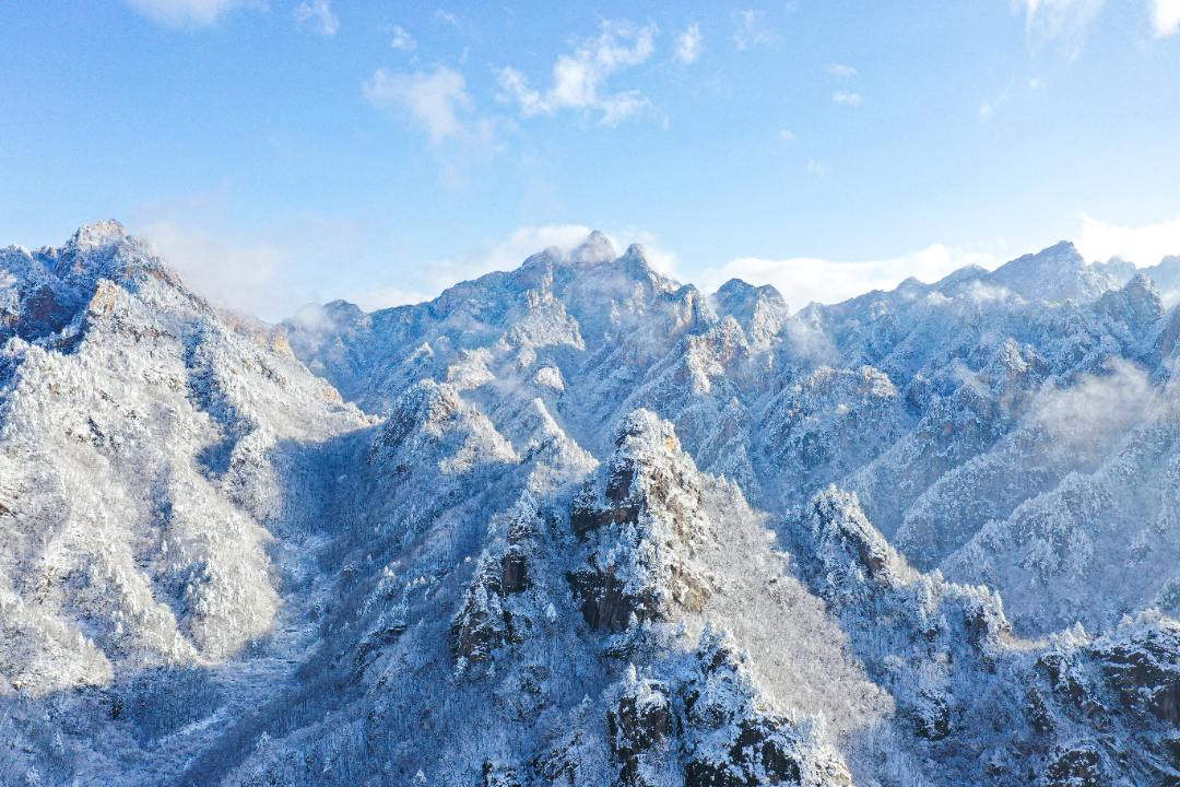 29冬雪 (1 - 1).jpg