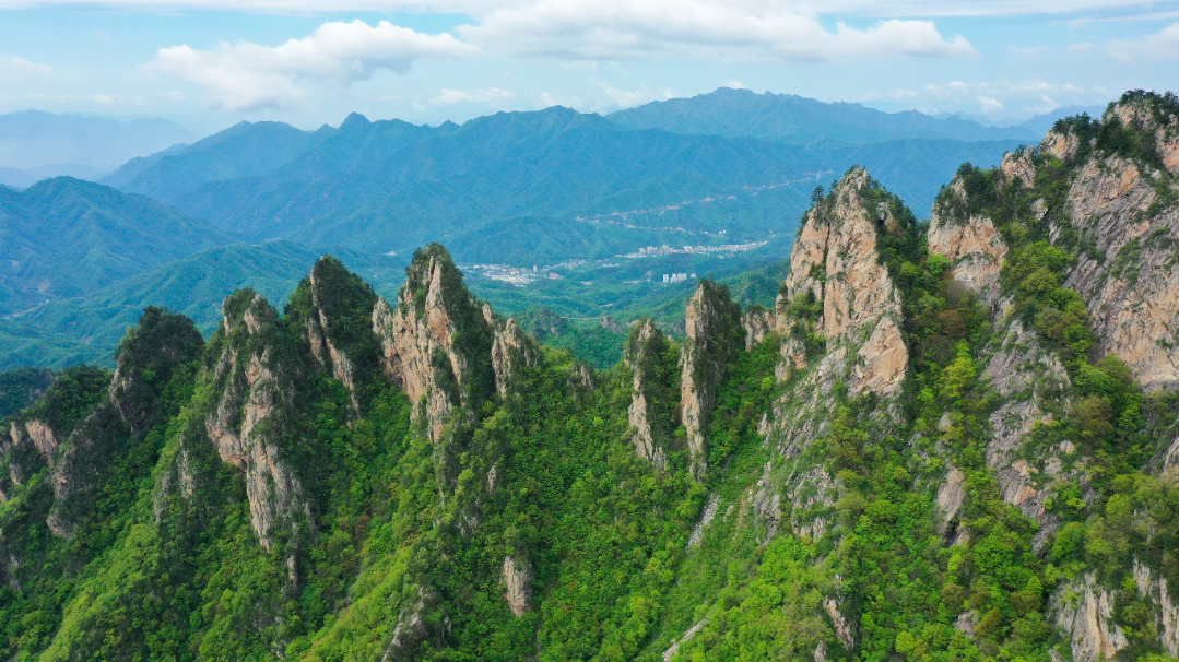 DJI_0723.jpg