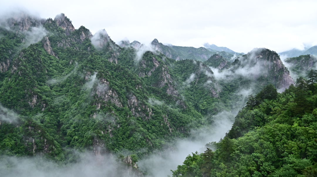 DSC_0794.JPG