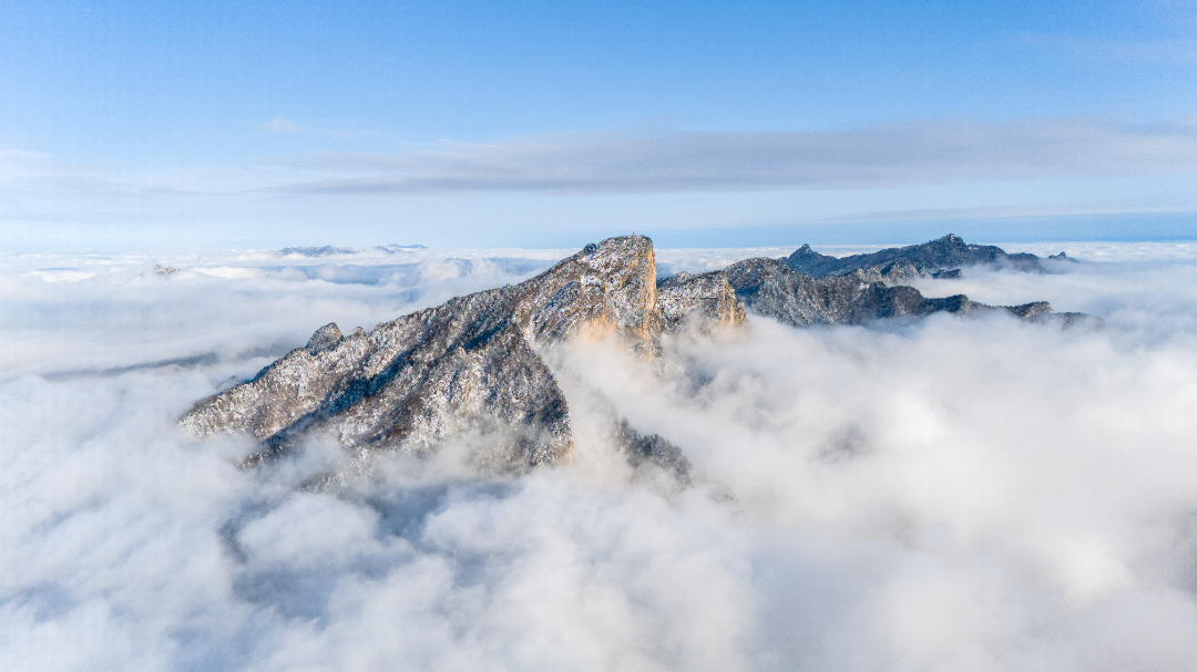 DJI_20241119161207_0155_D-2213.jpg