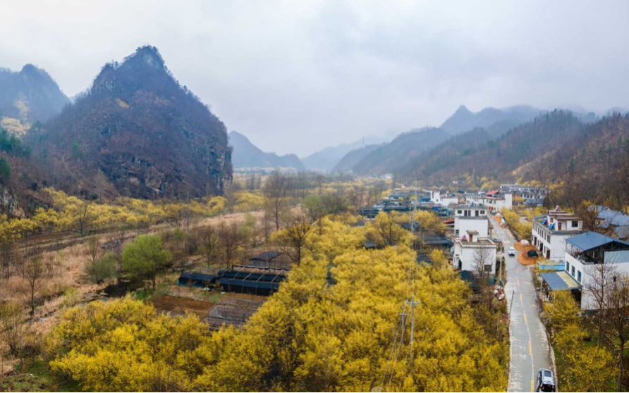 微信图片_20240325165725.jpg