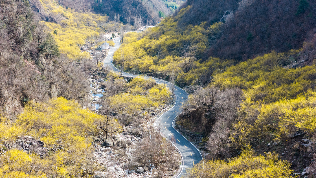 DJI_20250318154809_0260_D.jpg