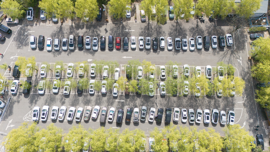 DJI_20250405101900_0221_D.jpg