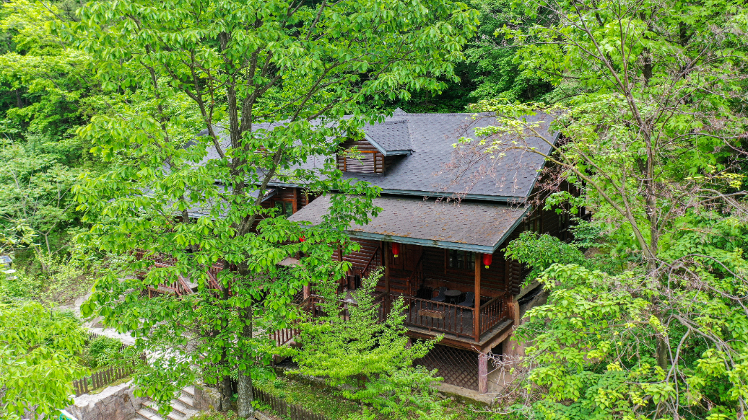 DJI_0771-2213.jpg