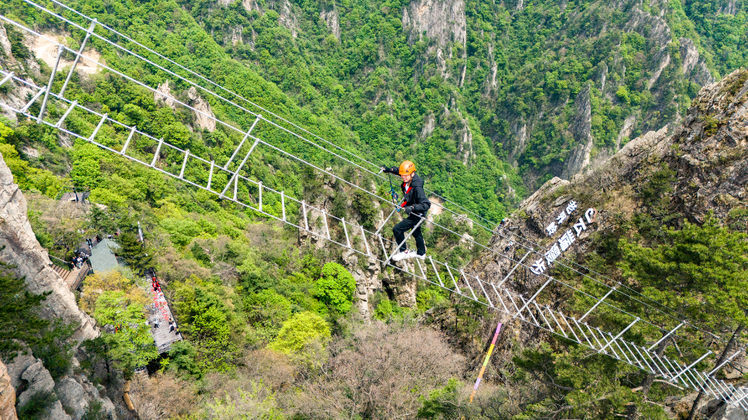 20250504-DJI_20250504132146_0307_D.jpg
