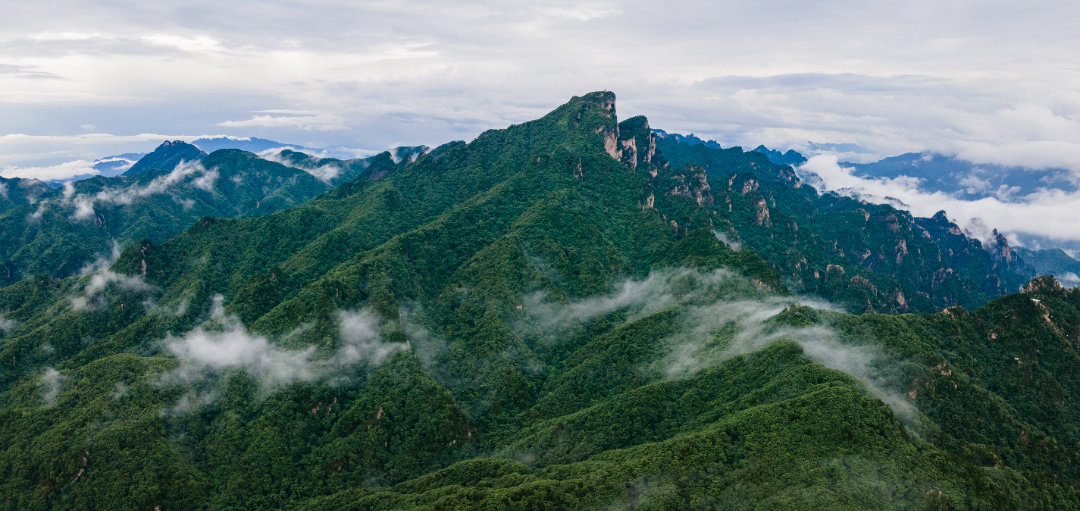 DJI_0311西峡县刘宜杰：13949386936.jpg
