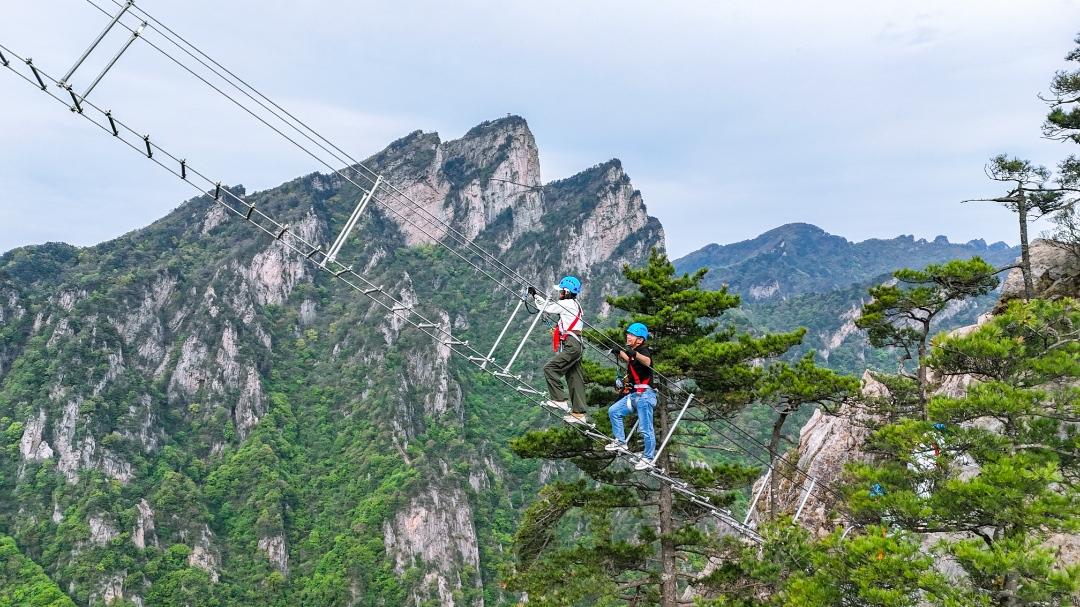 20250504-DJI_20250504160538_0182_D(1).jpg
