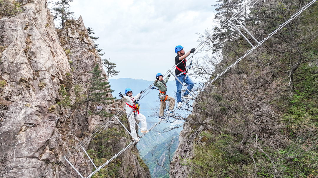 20250504-DJI_20250504155758_0166_D(1).jpg