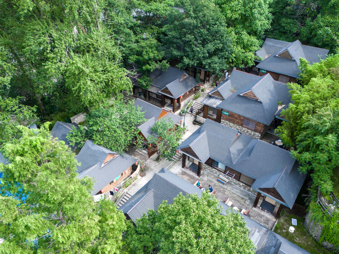 20250804-DJI_20250804092806_0018_D.jpg