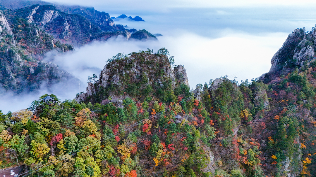 DJI_20241021145042_0374_D-2215.jpg
